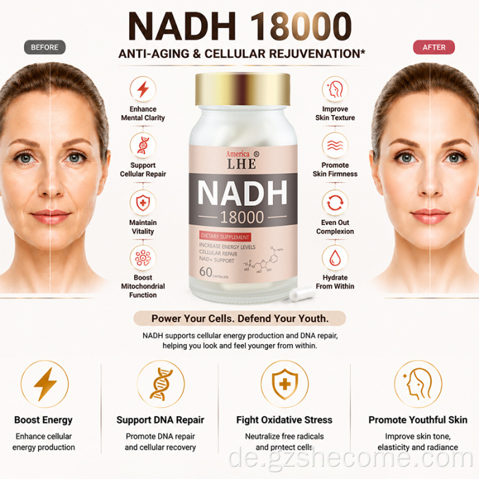 Shecome NADH-Kapseln Cellular Energy NAD+-Unterstützung